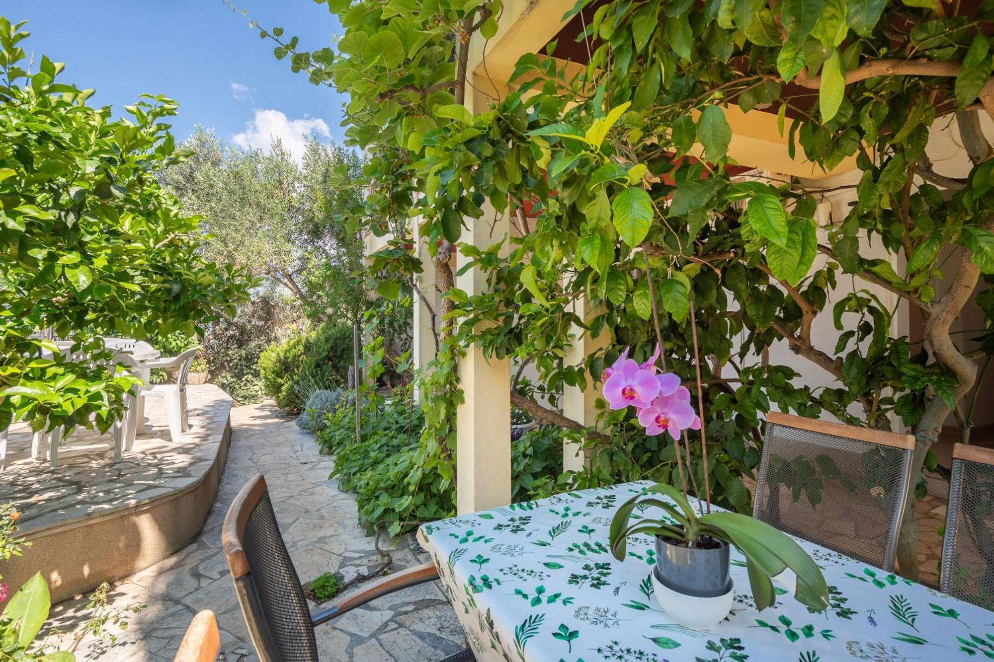 Apartments Roza Omiš Εξωτερικό φωτογραφία
